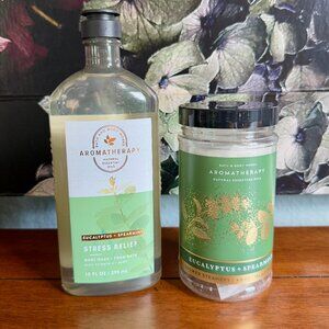 NEW 2-Pc Eucalyptus+Spearmint Body Wash & Shower Steamers Bath & Body Works